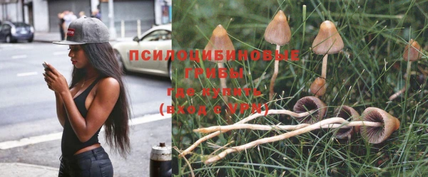 таблы Медвежьегорск